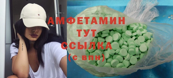 крисы Абаза
