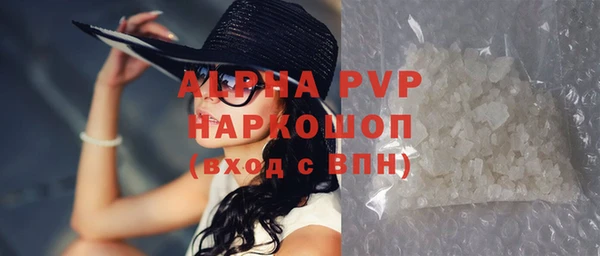 крисы Абаза