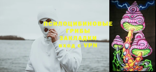 крисы Абаза
