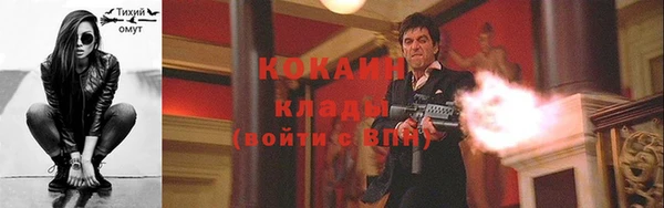 крисы Абаза