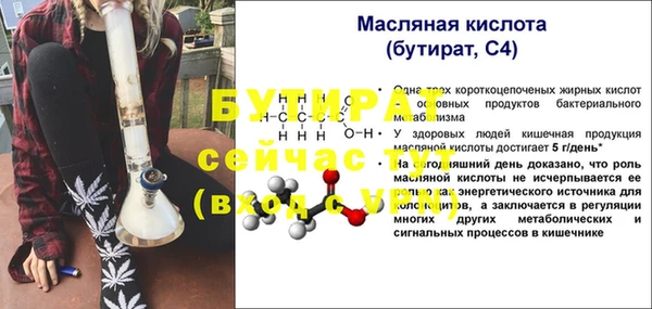крисы Абаза