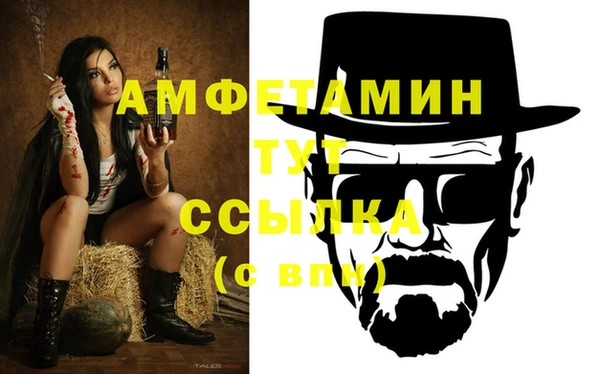 крисы Абаза